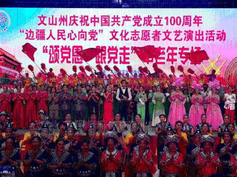 丁香和郁金香是同一种花吗？